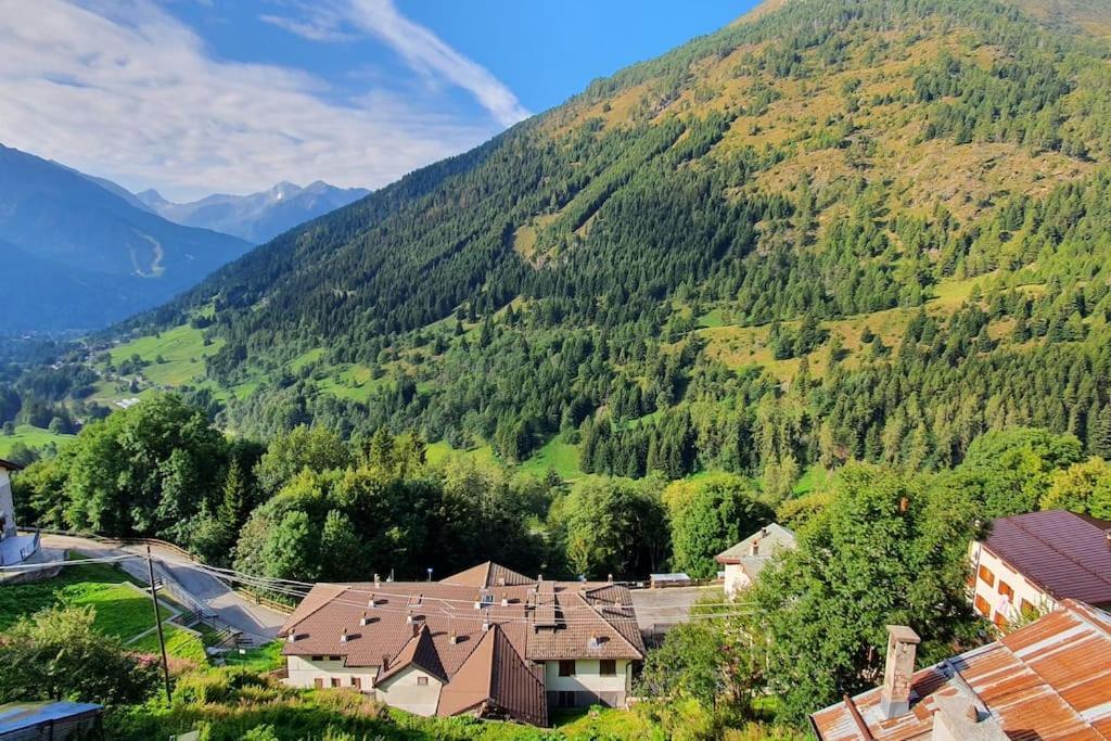 Residenza Sofia - Ponte Di Legno Fraz. Pezzo Villa Luaran gambar