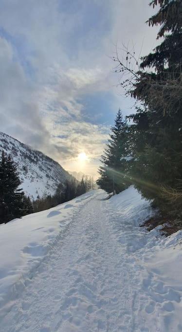 Residenza Sofia - Ponte Di Legno Fraz. Pezzo Villa Luaran gambar