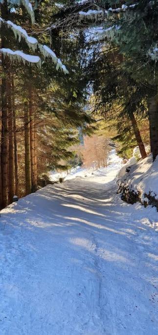 Residenza Sofia - Ponte Di Legno Fraz. Pezzo Villa Luaran gambar
